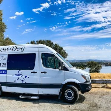 Good Dog mobile grooming van